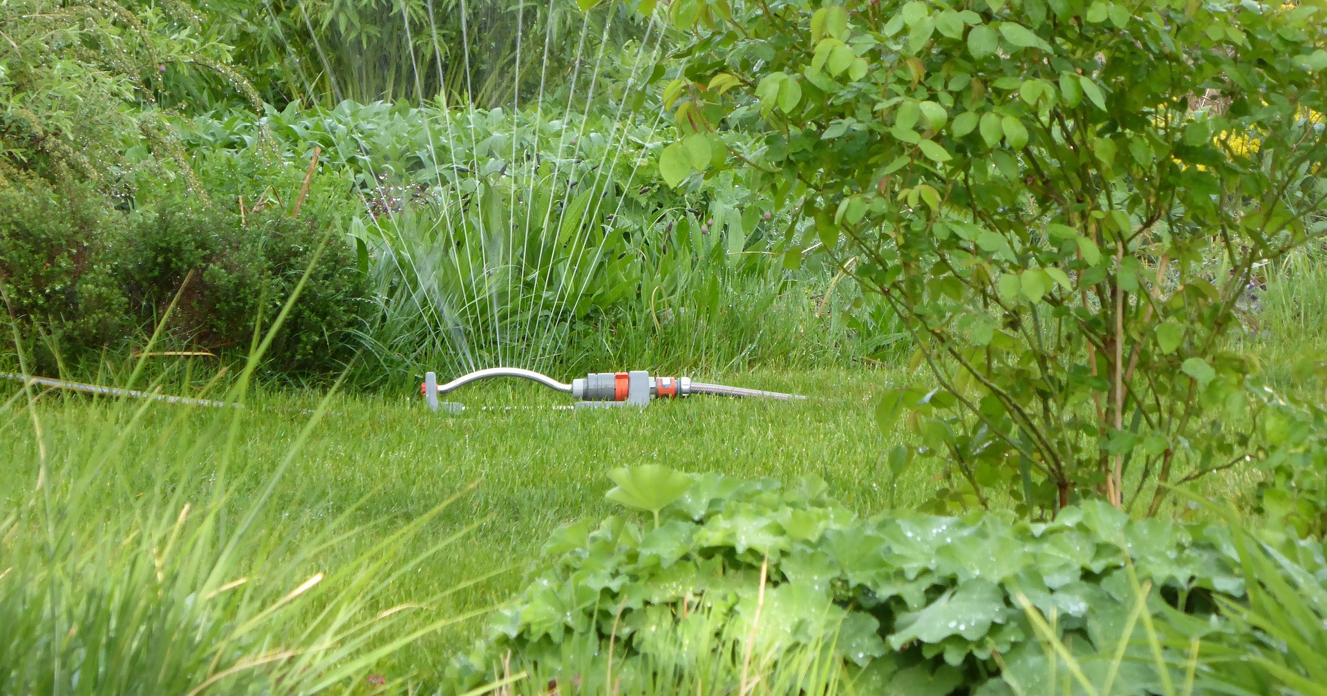 Lawn sprinkle